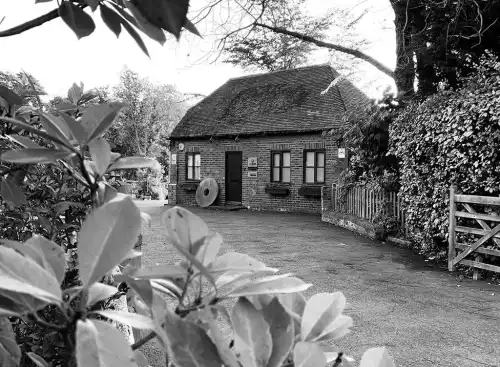 Article generated automatically image